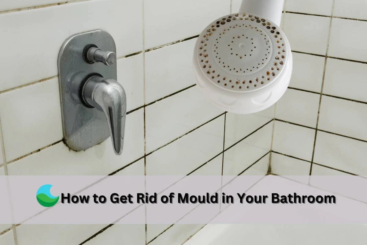 How to Get Rid of Mold in Your Bathroom